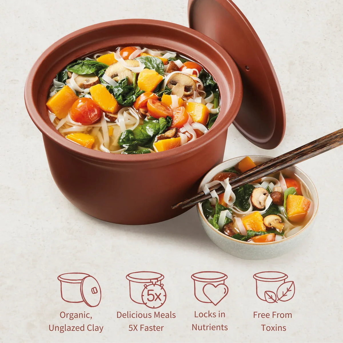 Organic Clay Rice Cooker and Slow Cooker