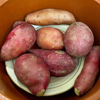 Organic Clay Rice Cooker and Slow Cooker