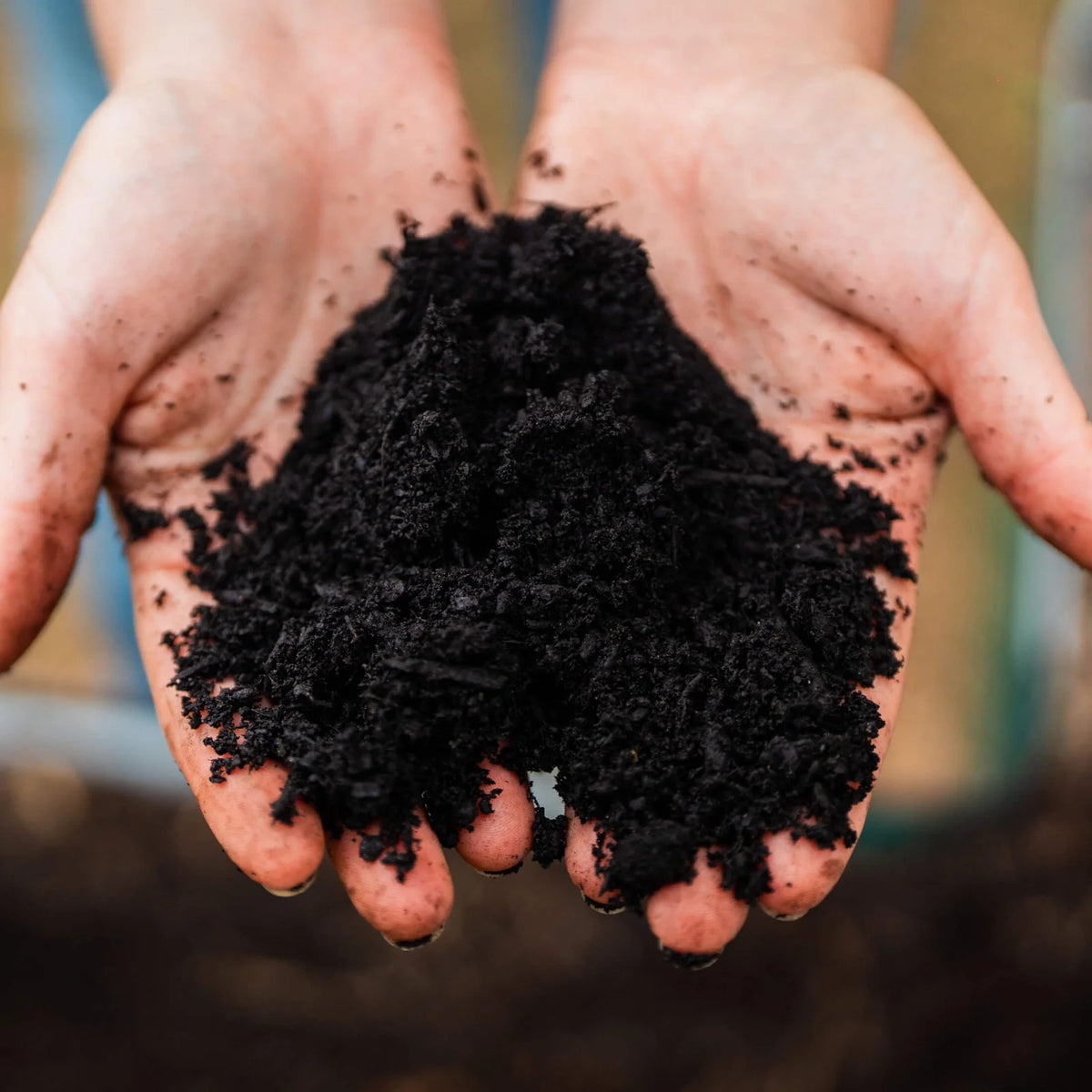 Organic Compost and Biochar Soil Mix