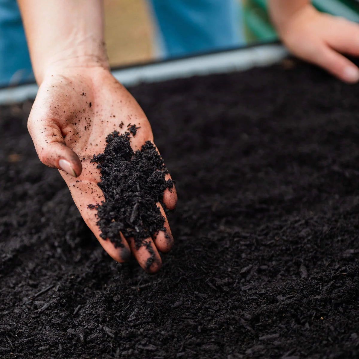 Organic Compost and Biochar Soil Mix