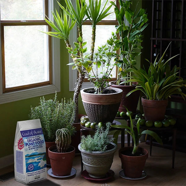 Organic Plant Food