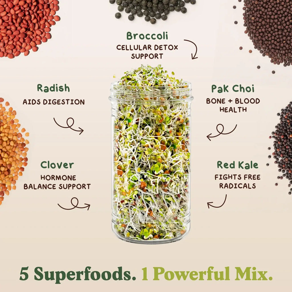 Organic Sprouting Seeds Blend