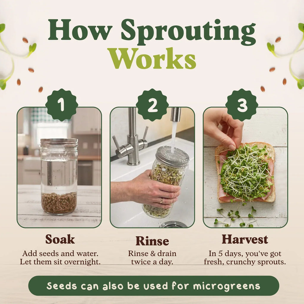Organic Sprouting Seeds Blend