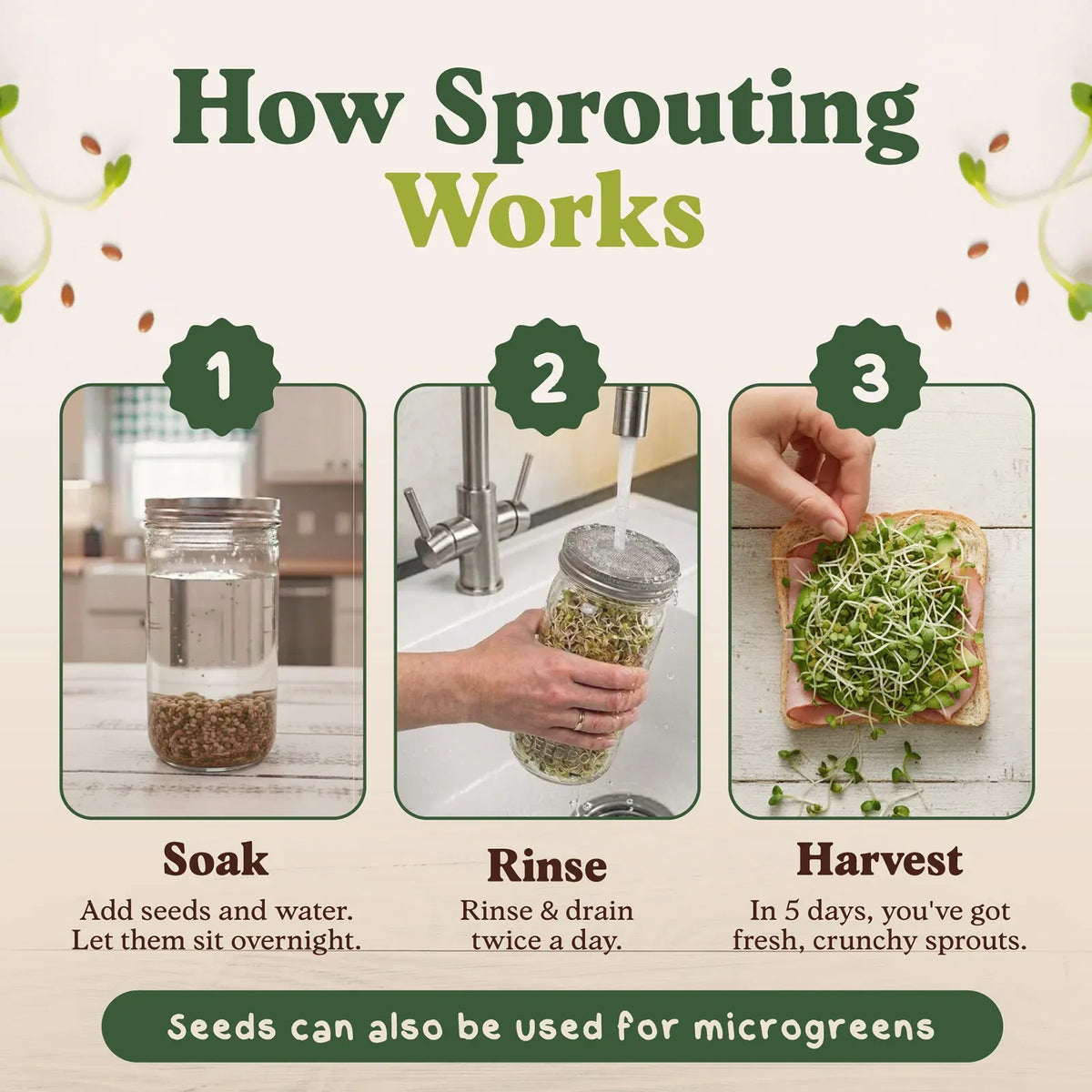Organic Sprouting Seeds Blend