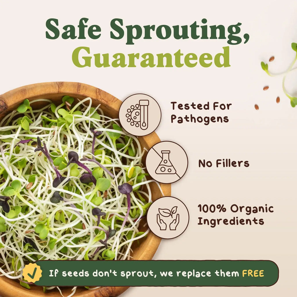 Organic Sprouting Seeds Blend
