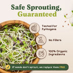 Organic Sprouting Seeds Blend