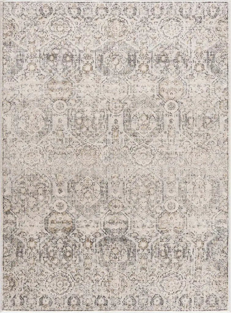 Oriental Area Rug in Moroccan Farmhouse Style, Machine-Woven