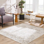 Oriental Area Rug in Moroccan Farmhouse Style, Machine-Woven