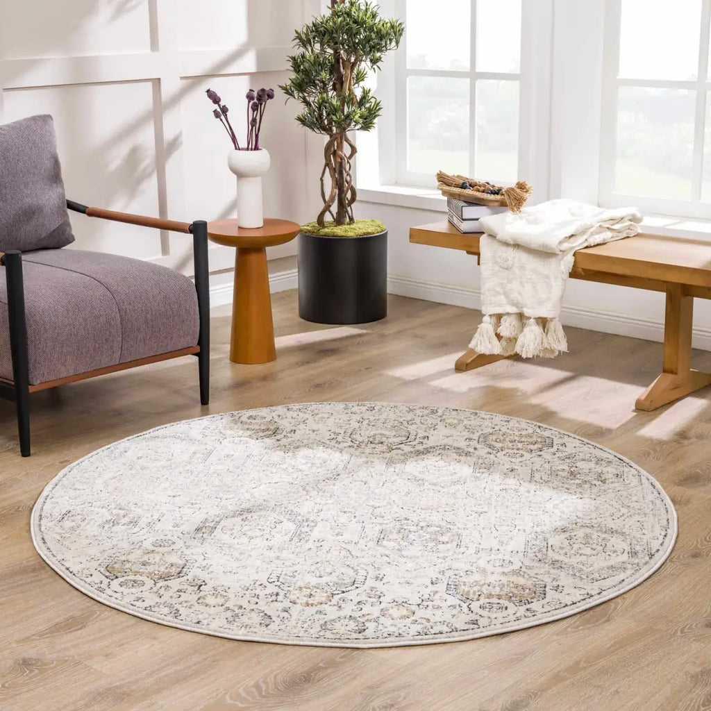 Oriental Area Rug in Moroccan Farmhouse Style, Machine-Woven