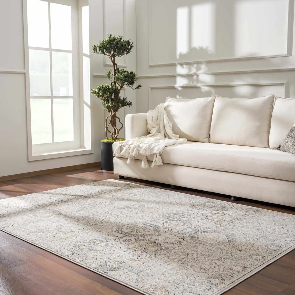 Oriental Area Rug in Moroccan Farmhouse Style, Machine-Woven