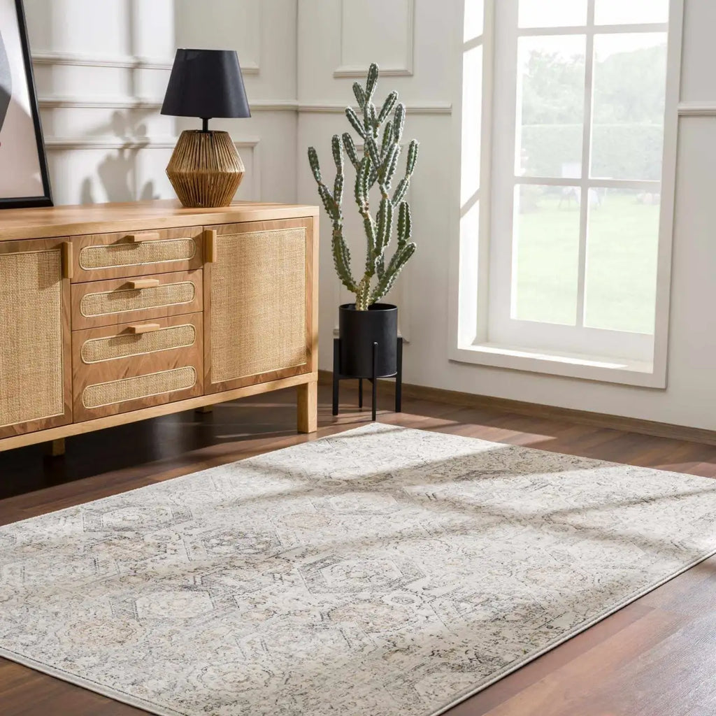 Oriental Area Rug in Moroccan Farmhouse Style, Machine-Woven