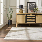 Oriental Area Rug in Moroccan Farmhouse Style, Machine-Woven