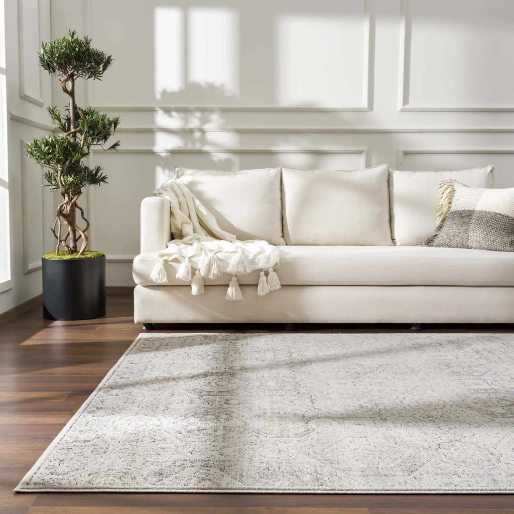 Oriental Area Rug in Moroccan Farmhouse Style, Machine-Woven