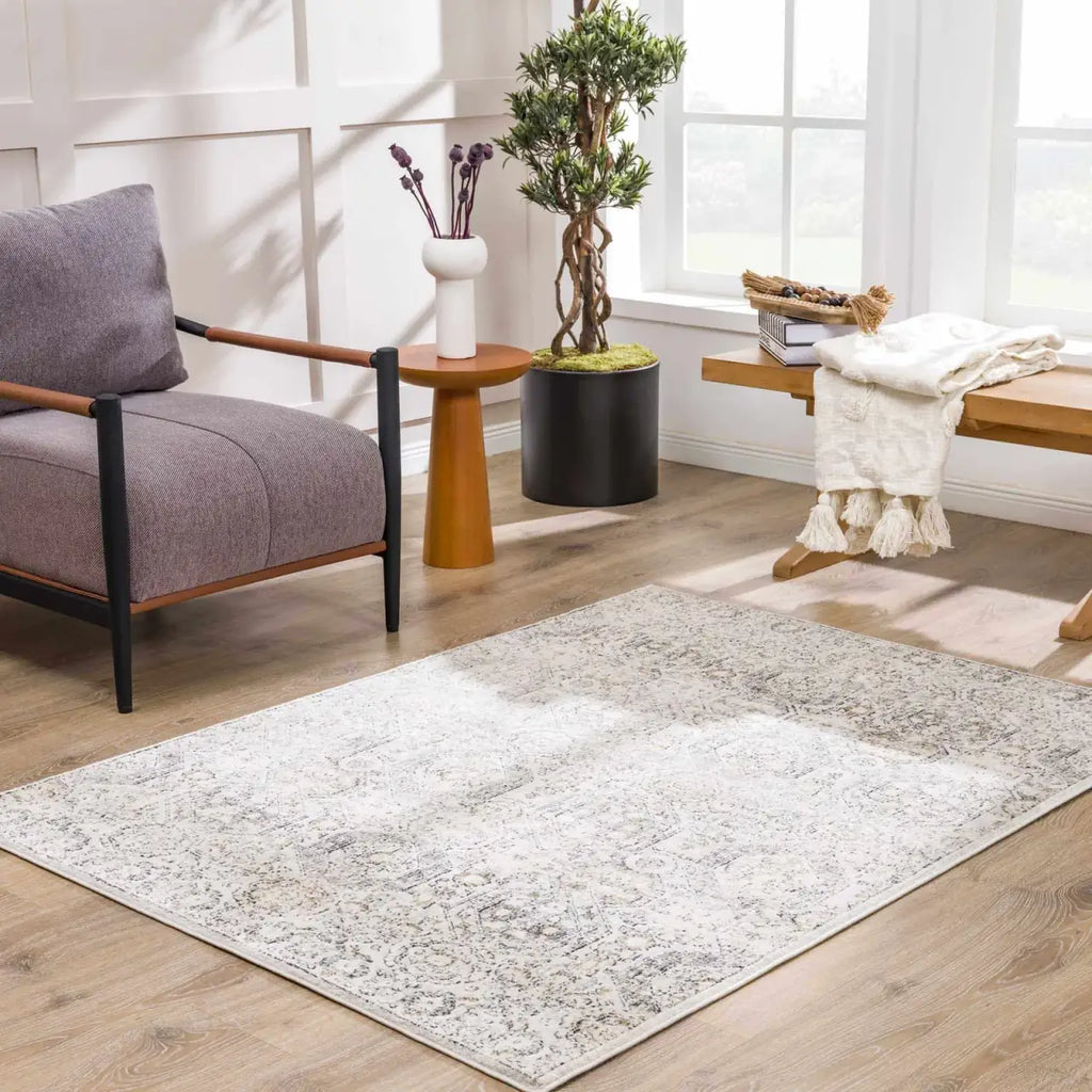 Oriental Area Rug in Moroccan Farmhouse Style, Machine-Woven