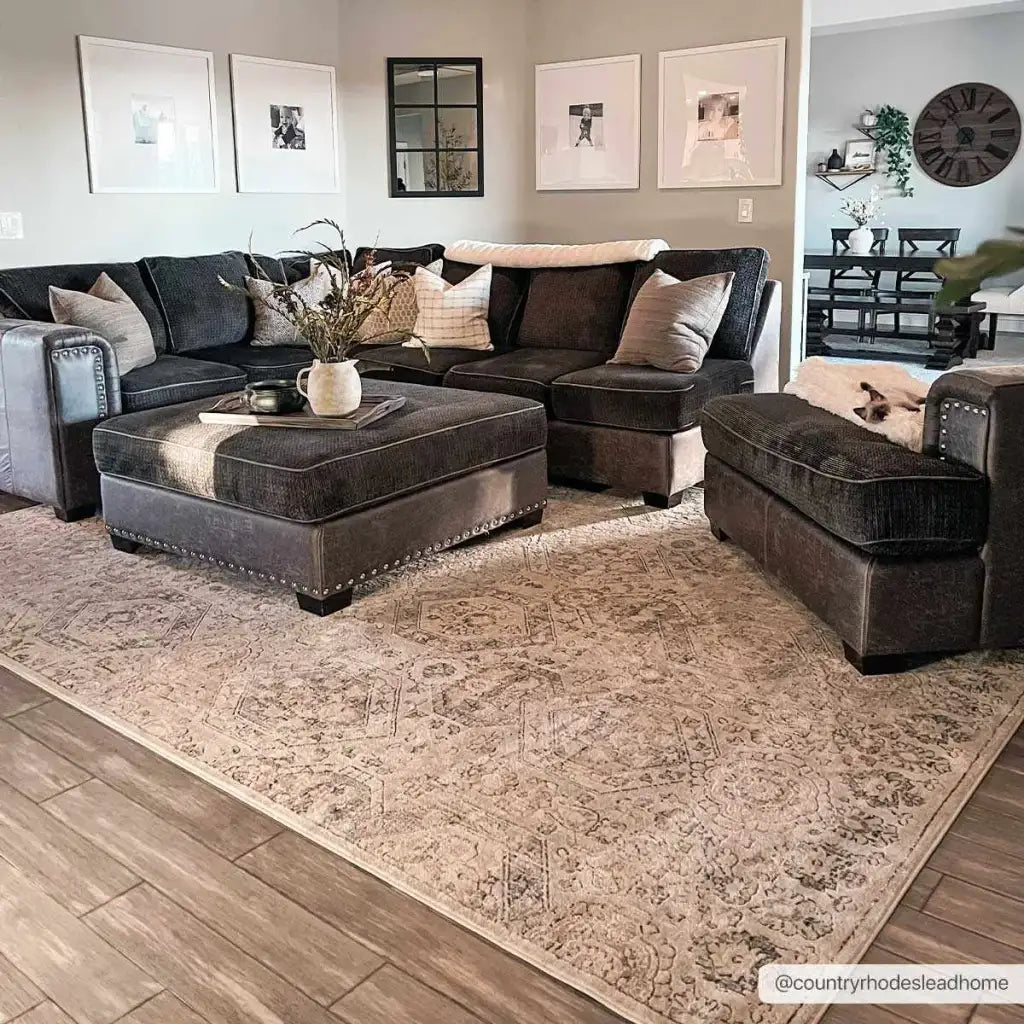 Oriental Area Rug in Moroccan Farmhouse Style, Machine-Woven