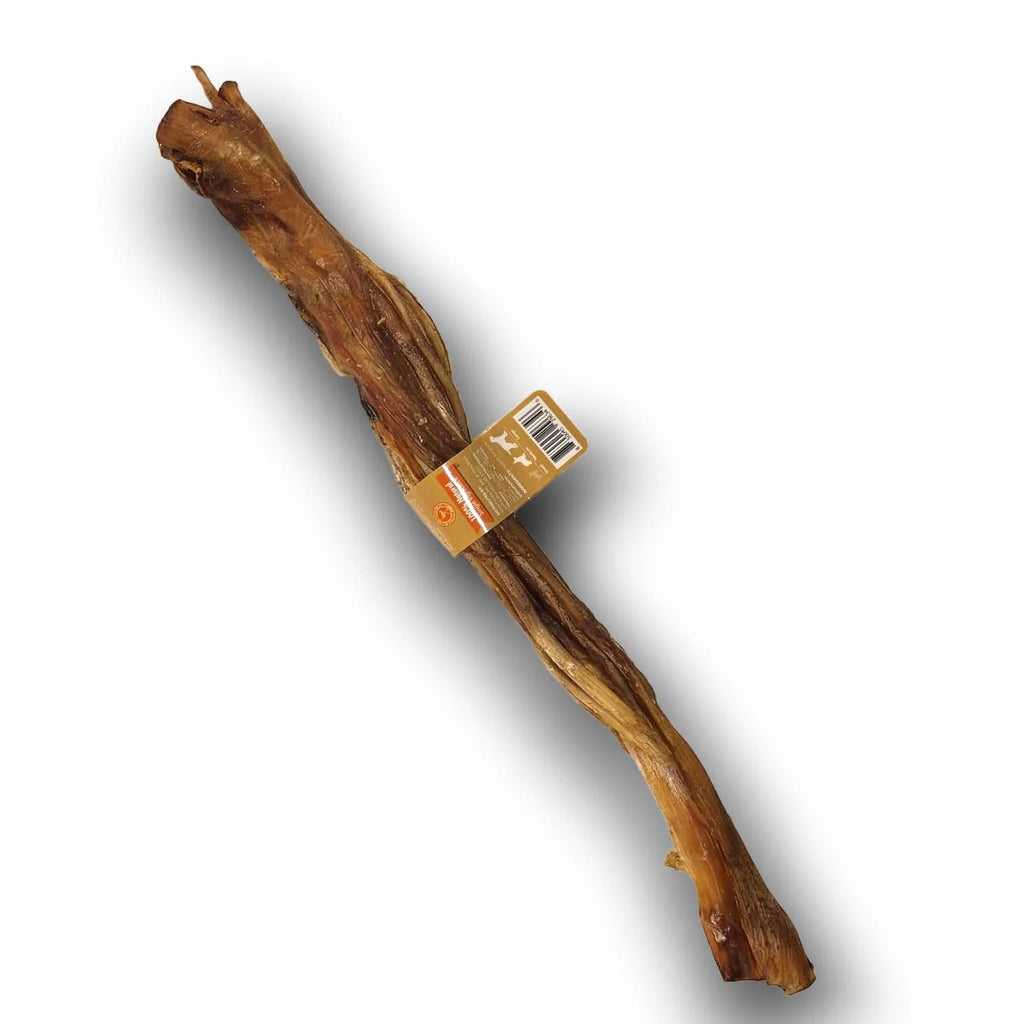 Ostrich Tendon Dog Chew in a Braided Long Format, Made from 100% Ostrich Tendons and Measuring 16 Inches