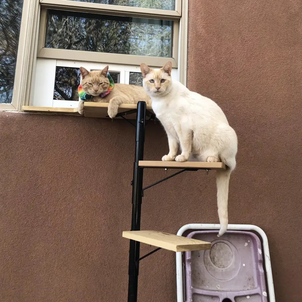 Outdoor Cat Tree