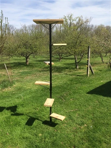 Outdoor Cat Tree