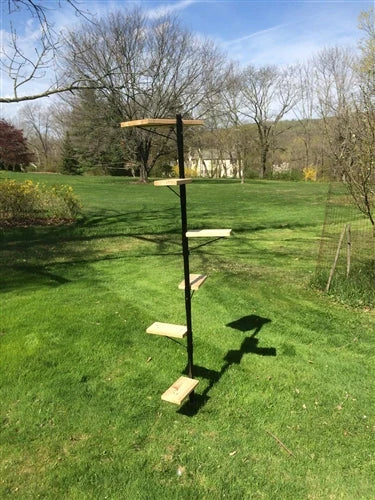 Outdoor Cat Tree