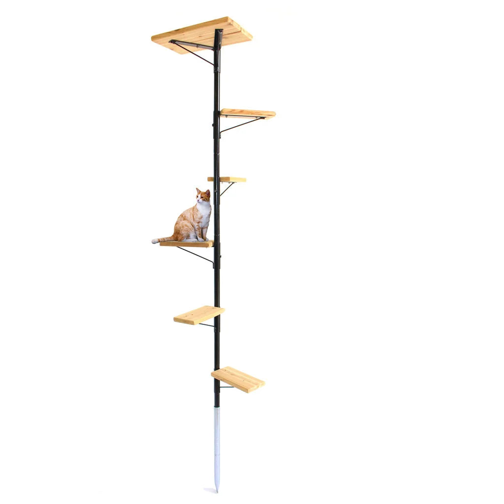 Outdoor Cat Tree