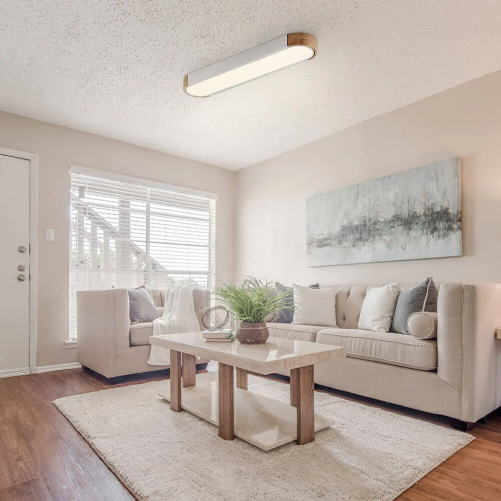 Oval Flush Mount LED Ceiling Light