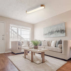 Oval Flush Mount LED Ceiling Light