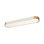 Oval Flush Mount LED Ceiling Light
