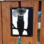 Owl Solar Light Wall Plaque