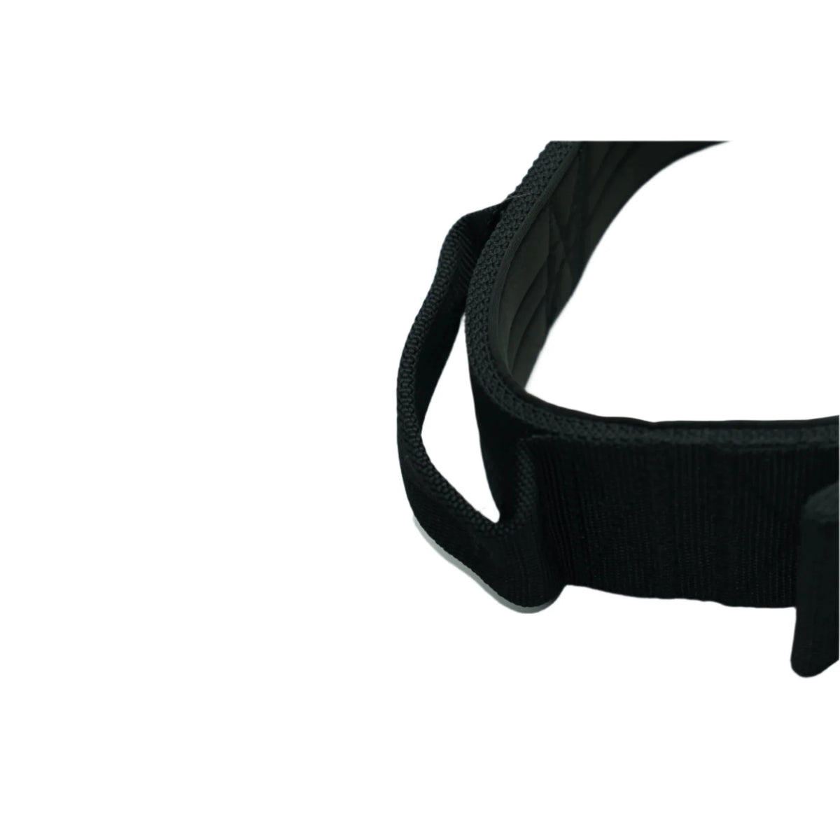 Padded Large Dog Collar in Black