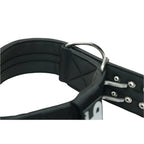 Padded Large Dog Collar in Black