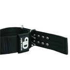 Padded Large Dog Collar in Black