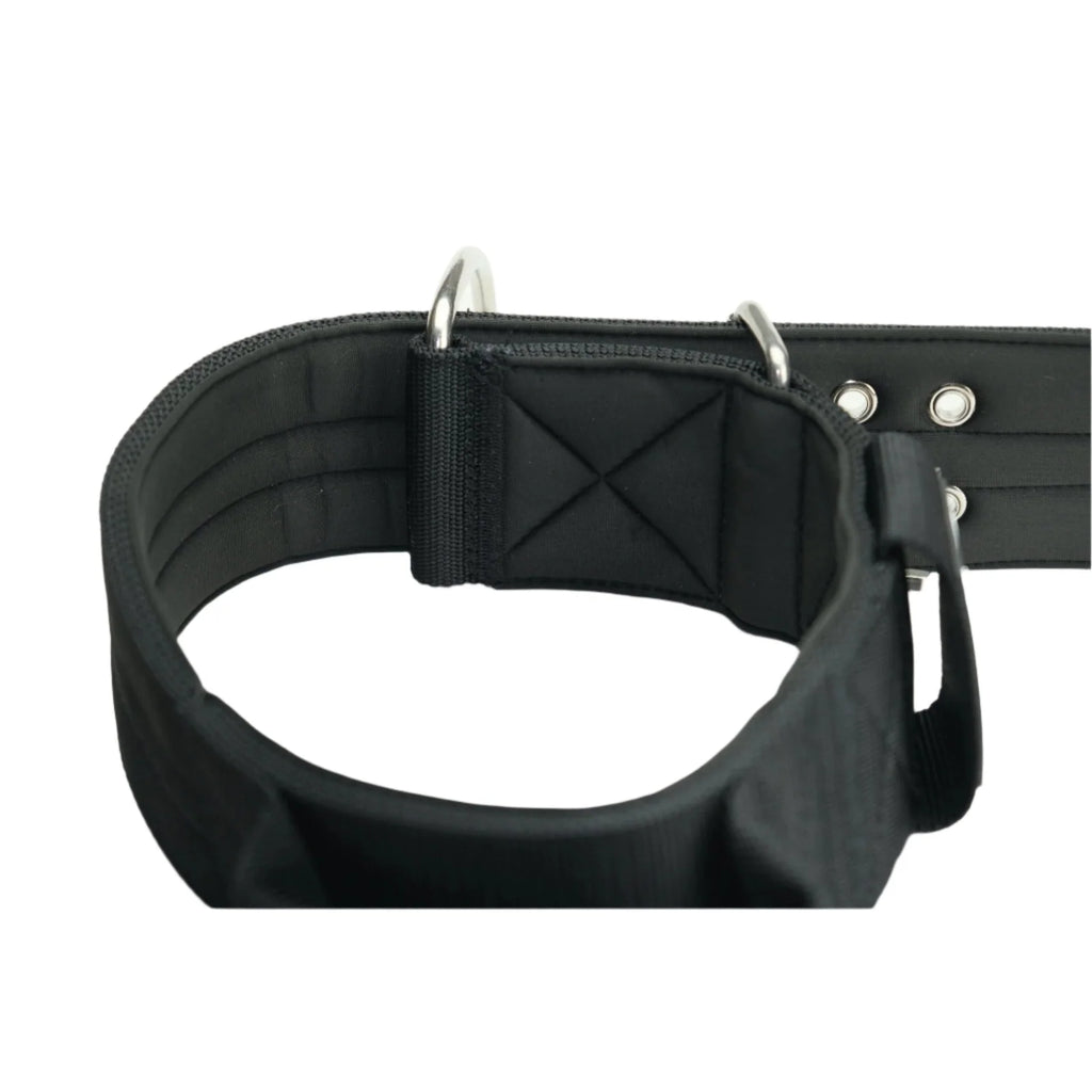 Padded Large Dog Collar in Black