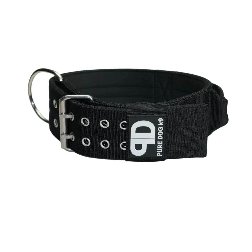 Padded Large Dog Collar in Black