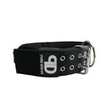 Padded Large Dog Collar in Black