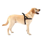 Padded Reflective Dog Harness with No-Choke Chest Strap, Adjustable Velcro Girth Band and Control Handle