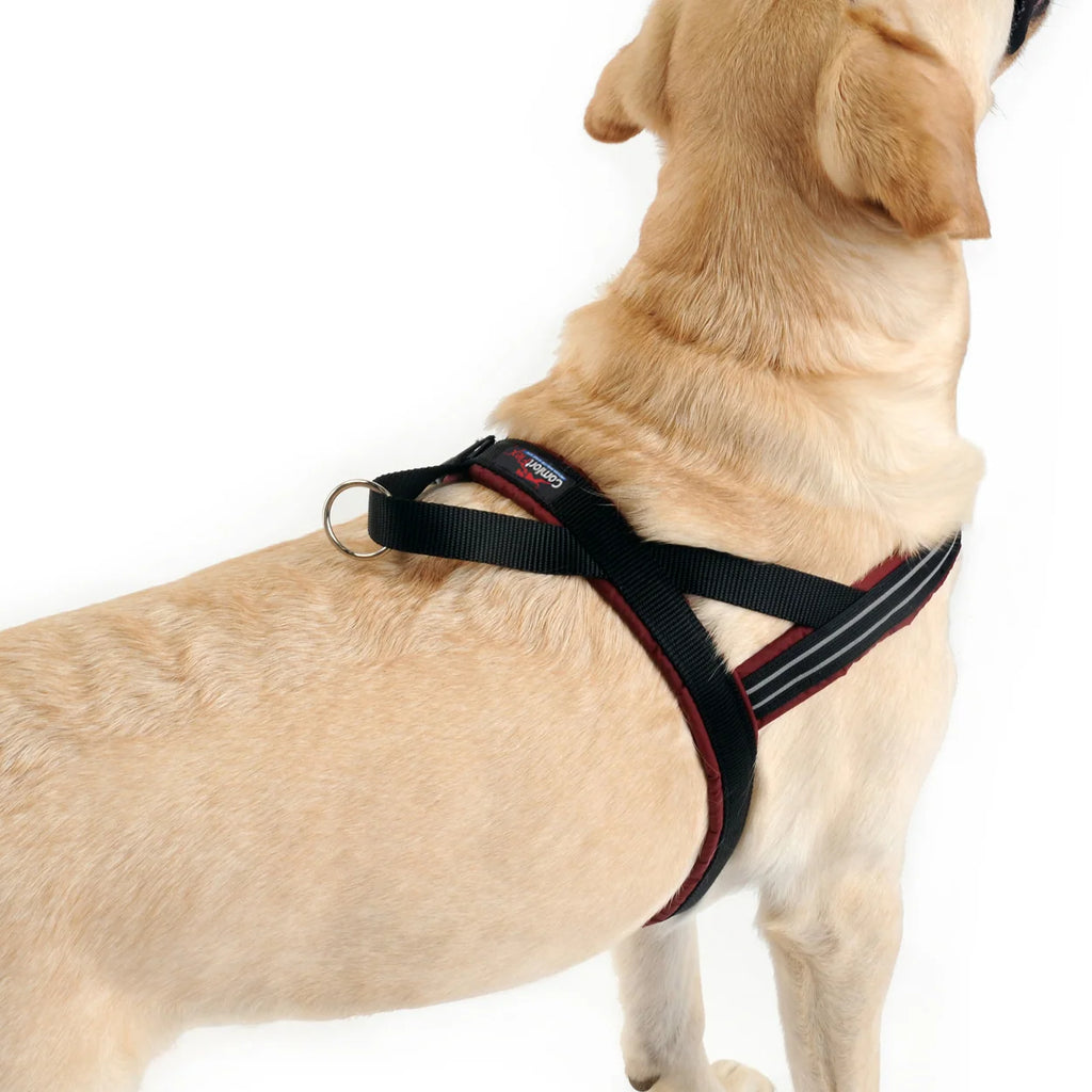 Padded Reflective Dog Harness with No-Choke Chest Strap, Adjustable Velcro Girth Band and Control Handle