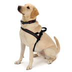 Padded Reflective Dog Harness with No-Choke Chest Strap, Adjustable Velcro Girth Band and Control Handle