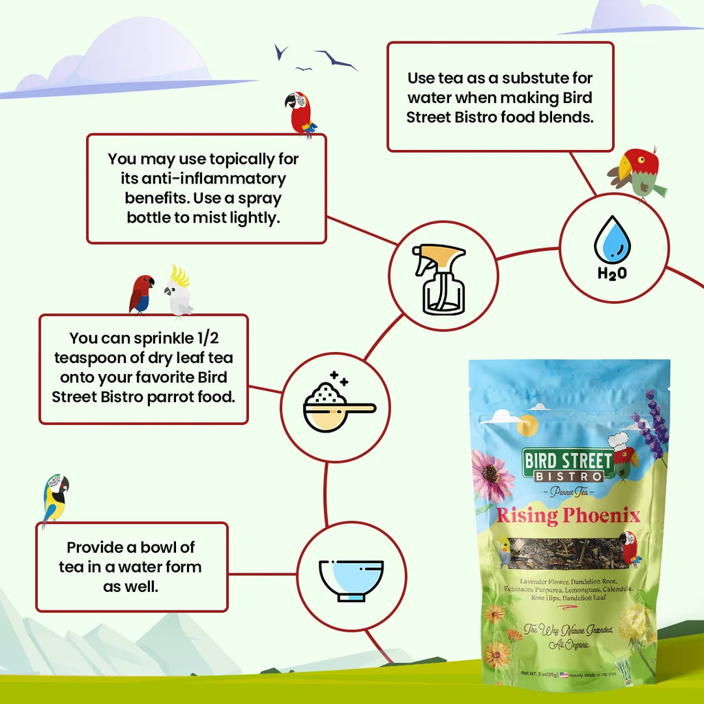 Parrot Tea Bundle Pack