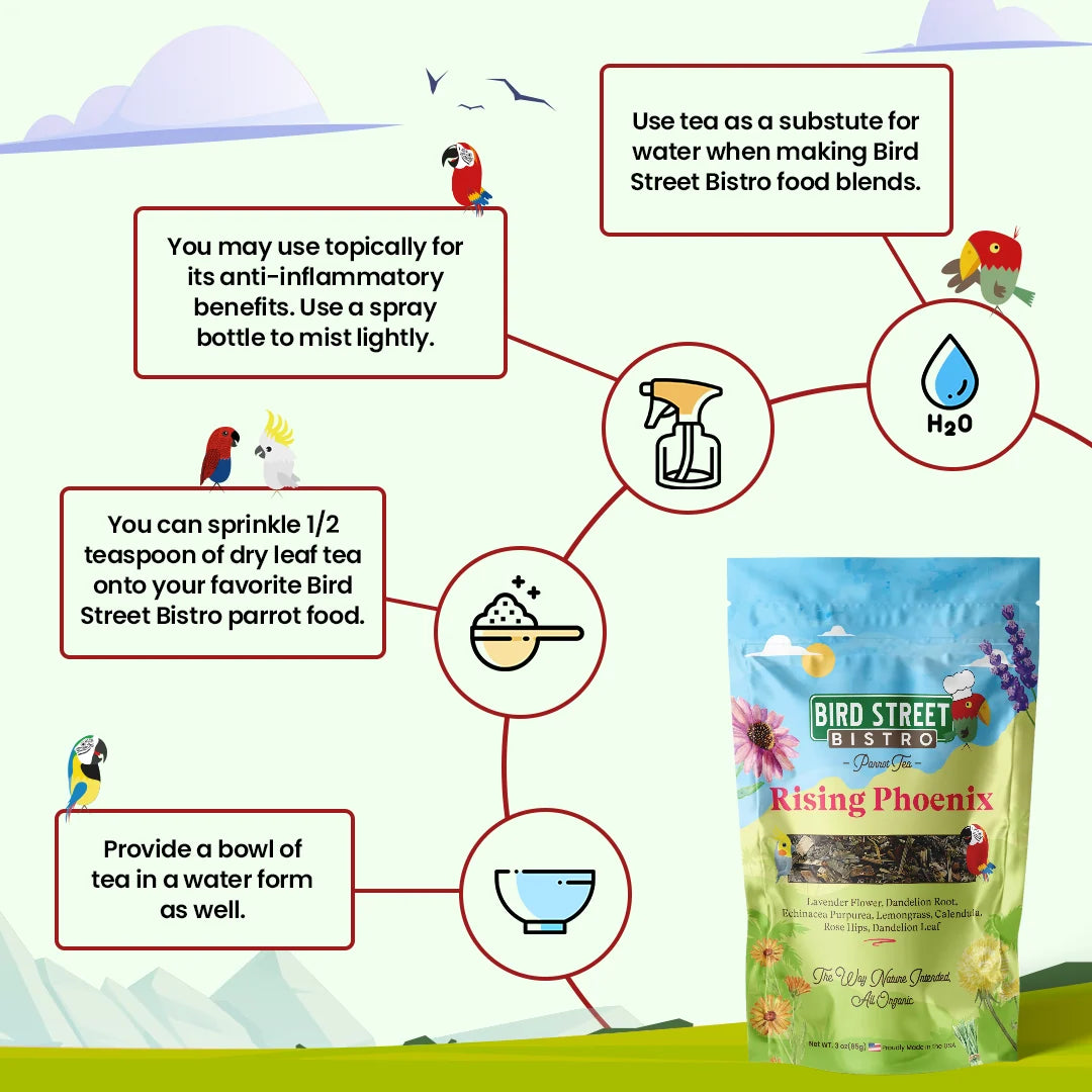 Parrot Tea Bundle Pack