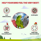Parrot Tea Bundle Pack