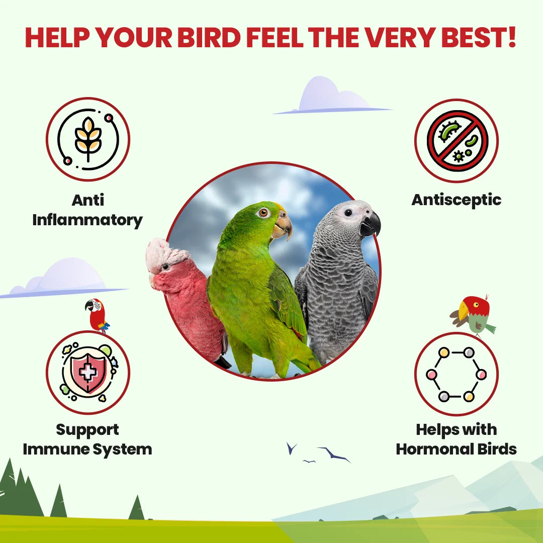 Parrot Tea Bundle Pack