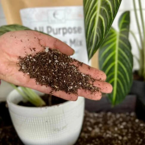Peat-Free All-Purpose Potting Mix with Ancient Soil, Mushroom Compost and Sustainable PittMoss for Indoor and Outdoor Grow