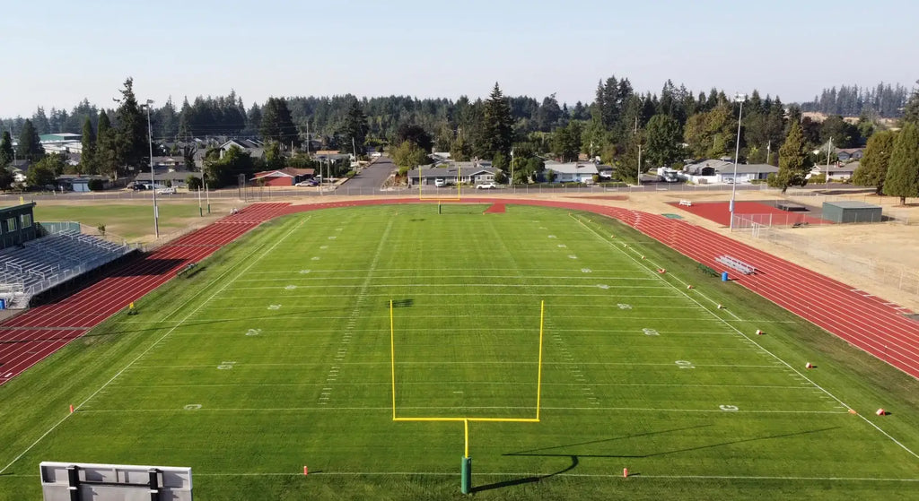 Perennial Ryegrass Seed