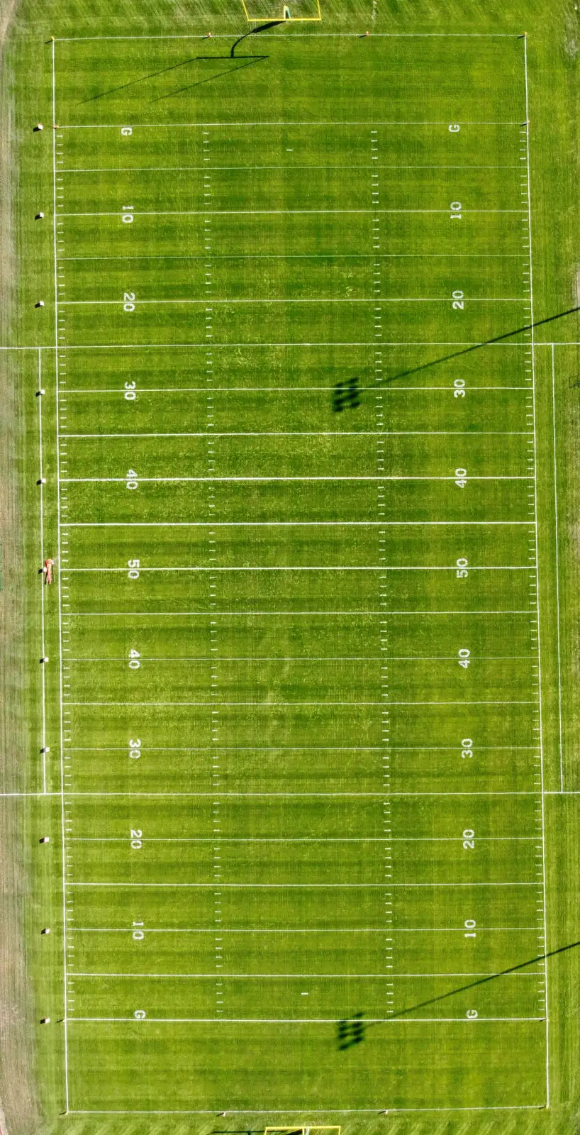 Perennial Ryegrass Seed