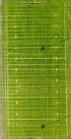 Perennial Ryegrass Seed