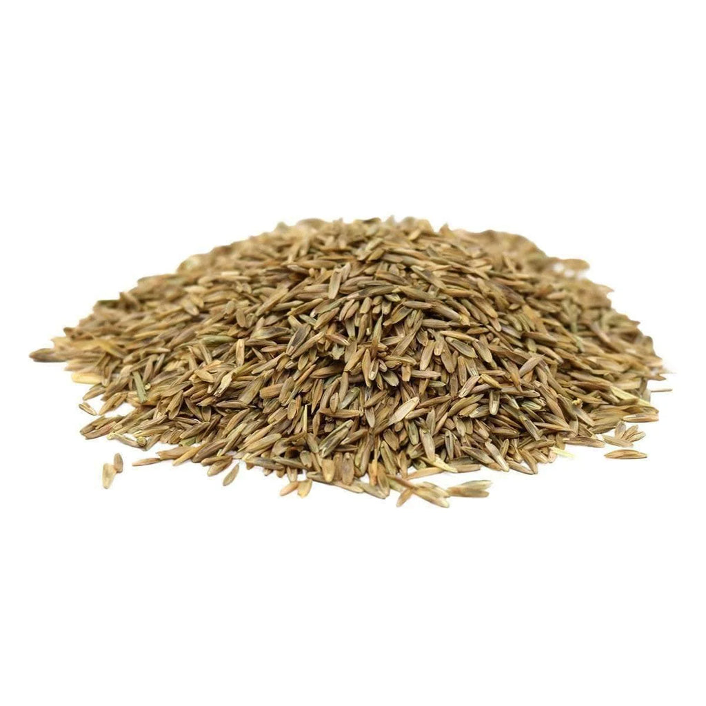 Perennial Ryegrass Seed
