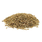 Perennial Ryegrass Seed