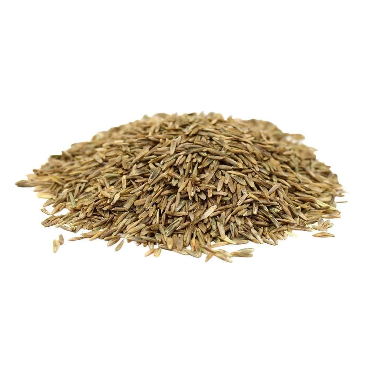 Perennial Ryegrass Seed