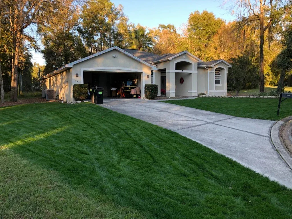 Perennial Ryegrass Seed