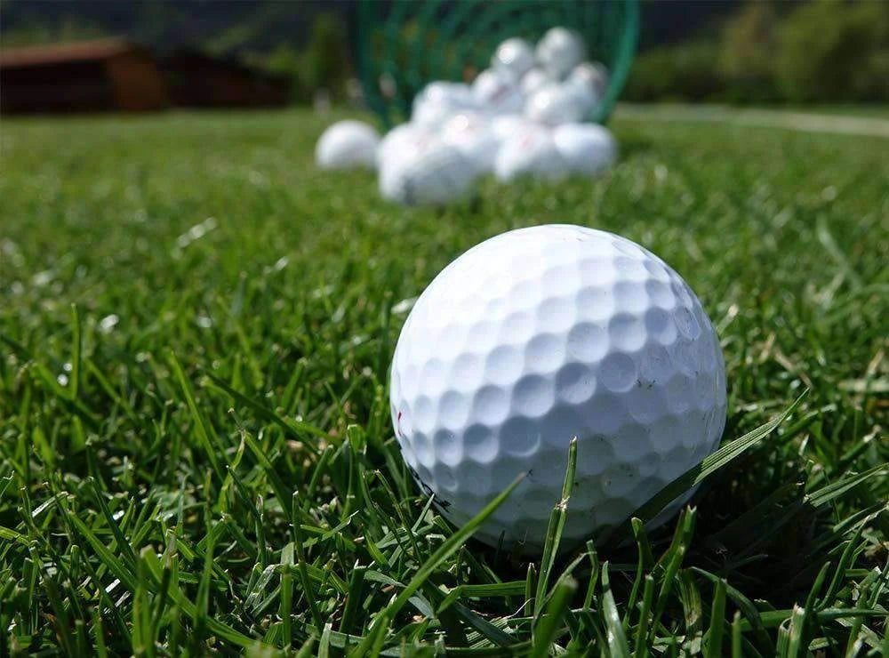 Perennial Ryegrass Seed